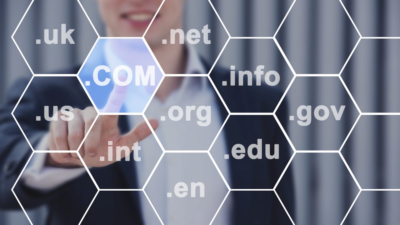 Top Domain Providing Companies